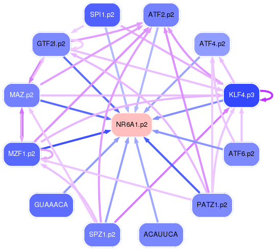 PNG image of the network
