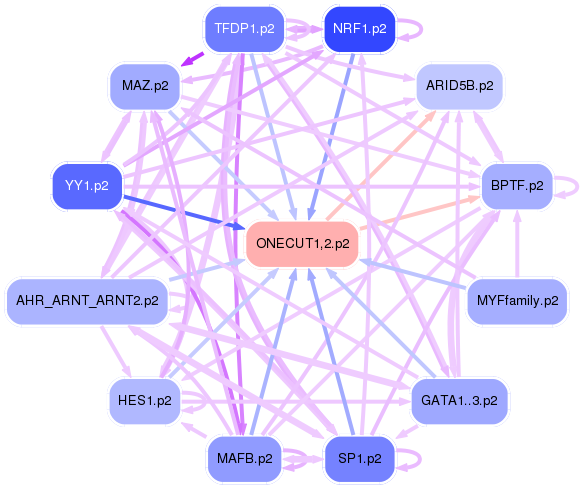 PNG image of the network