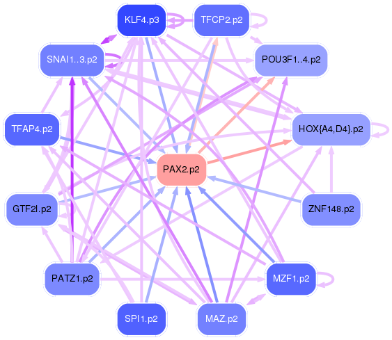 PNG image of the network