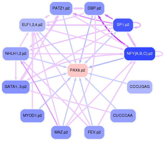 PNG image of the network