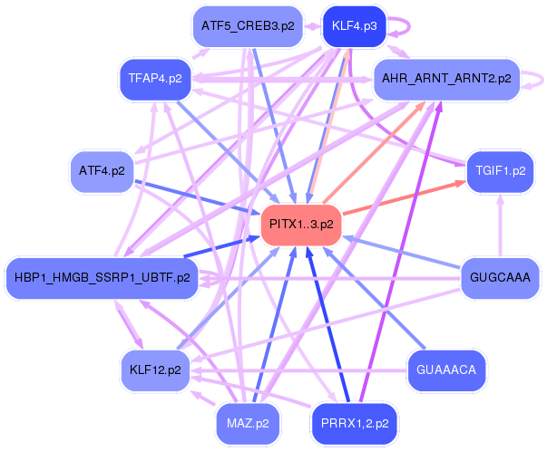 PNG image of the network