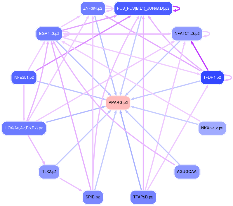 PNG image of the network
