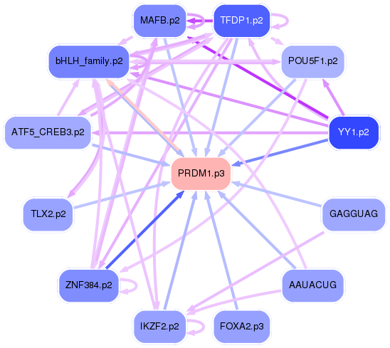 PNG image of the network