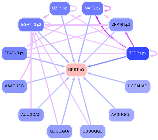 PNG image of the network