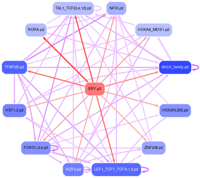 PNG image of the network