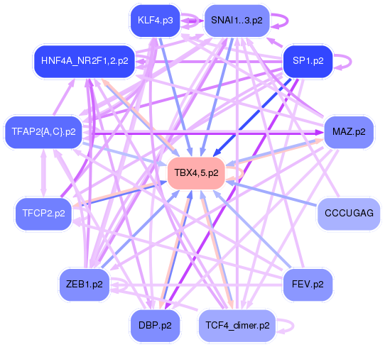 PNG image of the network