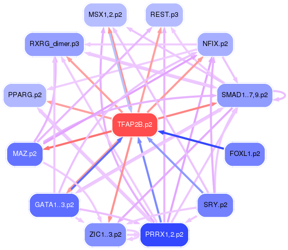 PNG image of the network