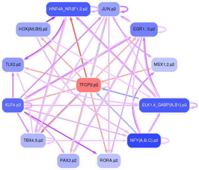 PNG image of the network
