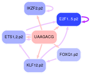 PNG image of the network