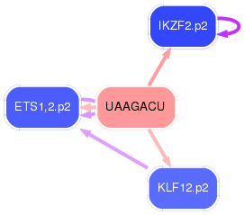 PNG image of the network