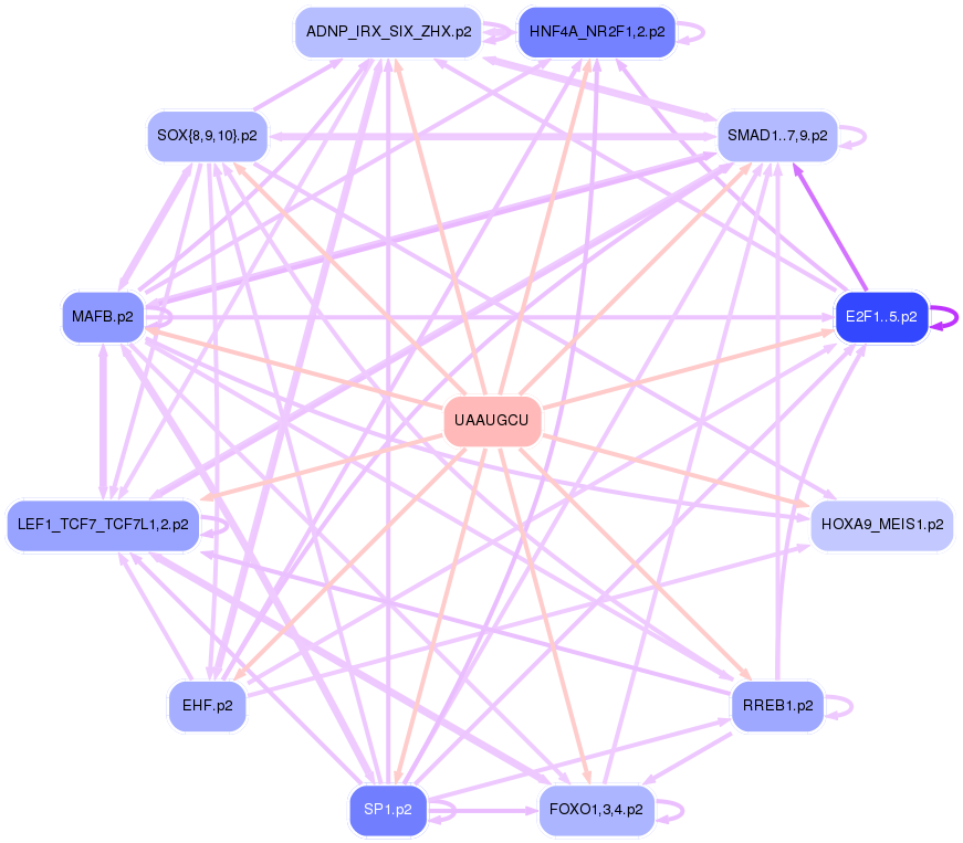 PNG image of the network