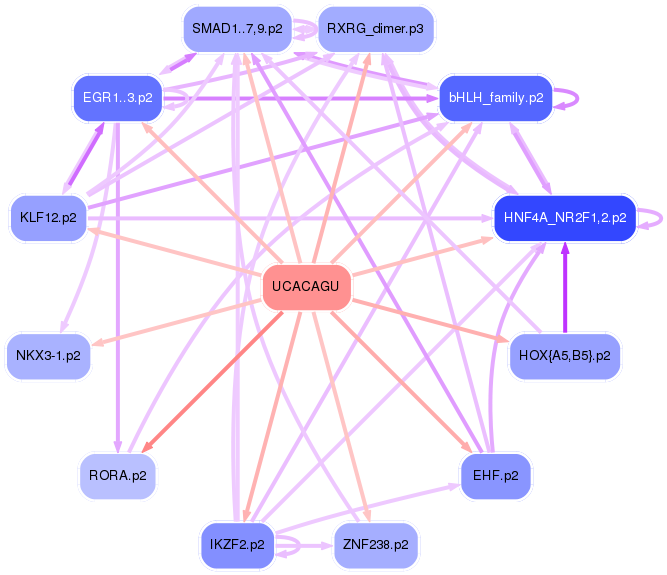 PNG image of the network