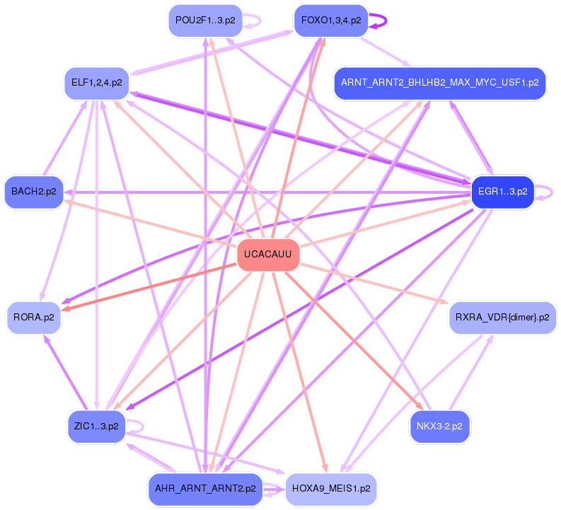 PNG image of the network