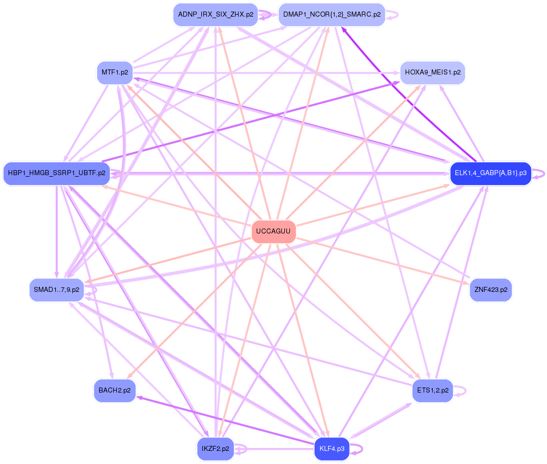 PNG image of the network