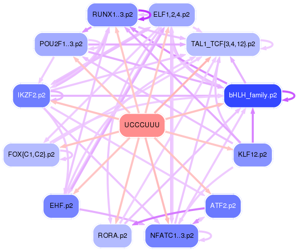 PNG image of the network
