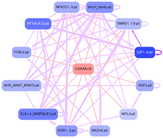 PNG image of the network