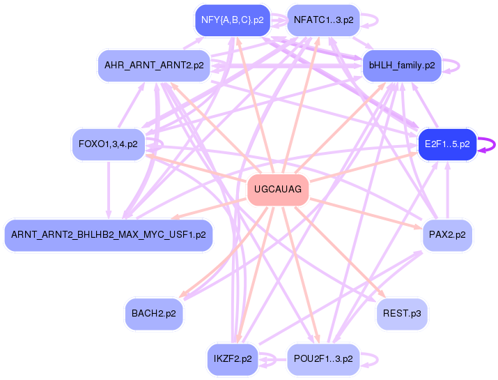 PNG image of the network
