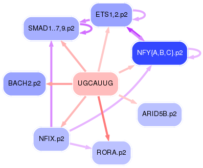 PNG image of the network