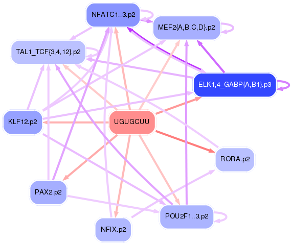 PNG image of the network