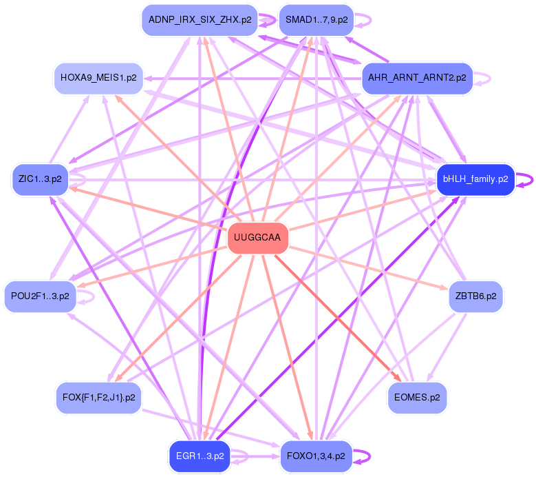 PNG image of the network