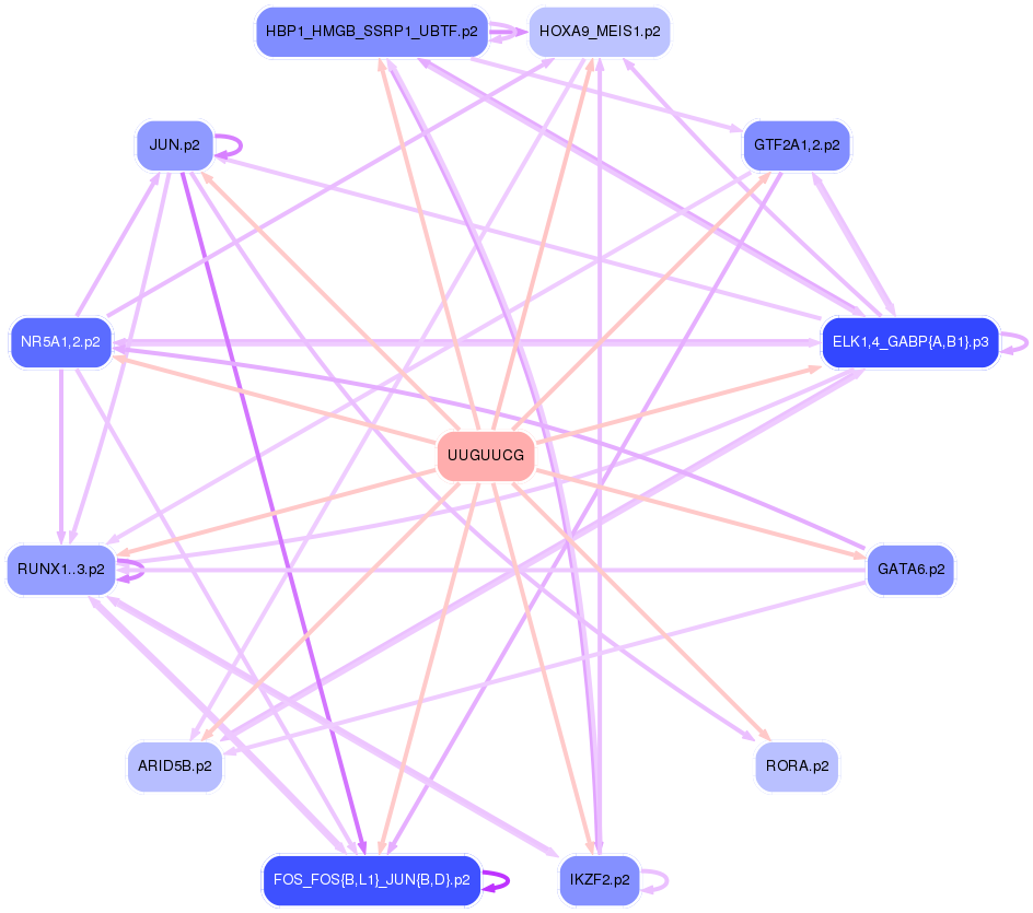 PNG image of the network