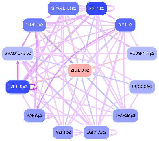 PNG image of the network